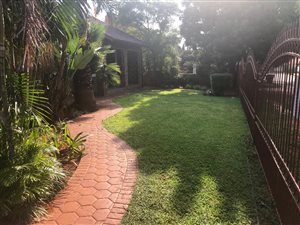 3 Bed House in Montana Park