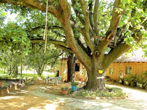 7.5 ha Farm in Magaliesburg