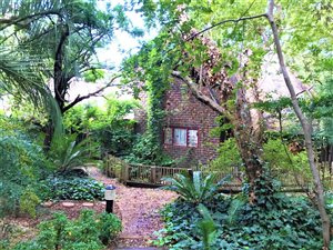 43.5 ha Farm in Soshanguve