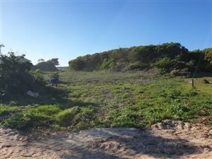 1200 m² Land available in Oyster Bay