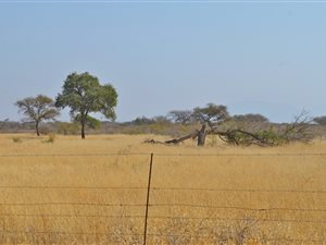 735 ha Farm in Roedtan