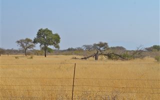735 ha Farm in Roedtan