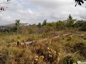2107 m² Land available in Southbroom