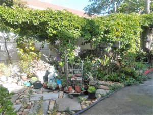 3 Bed House in Oakdale