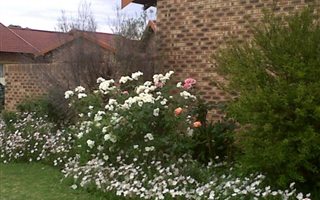 3 Bedroom Simplex in Pellissier