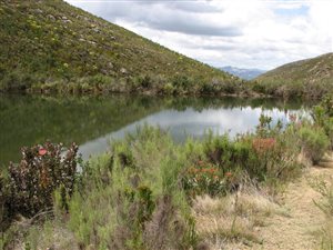 887 ha Farm in Uniondale
