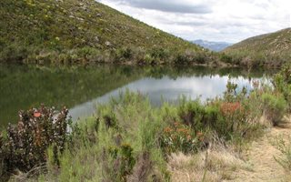 887 ha Farm in Uniondale