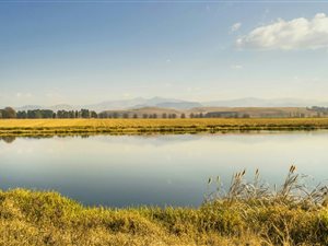 6 ha Smallholding in Himeville