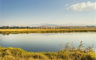 6 ha Smallholding in Himeville