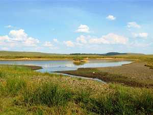 513 ha Farm in Dullstroom