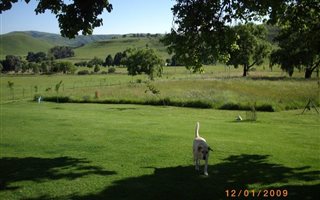 25 ha Farm in Wakkerstroom