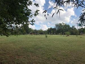 1 ha Farm in Monavoni