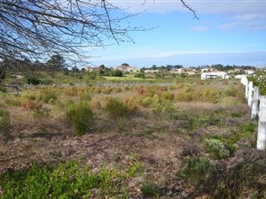 3052 m² Land available in Plettenberg Bay