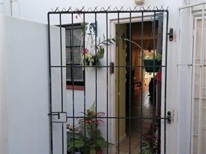 1 Bed Apartment in Manor Gardens