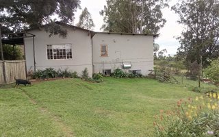 9 ha Farm in Ashburton