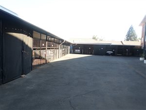 1 Bedroom Apartment in Strubenvale