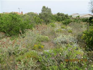 793 m² Land available in Reebok