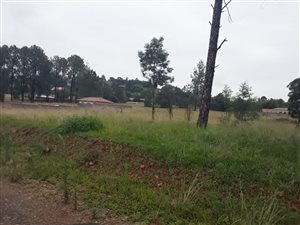 812 m² Land available in Ohenimuri
