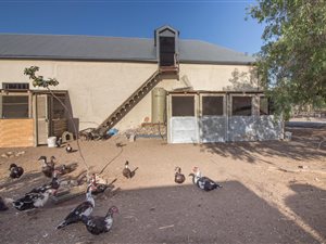 12.5 ha Farm in Worcester and surrounds