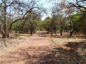 8 ha Farm in Strydfontein and surrounds