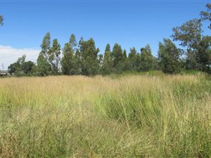 1.8 ha Land available in Vyfhoek