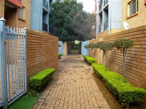 1 Bed Apartment in Riviera