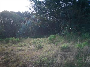 1740 m² Land available in Leisure Bay