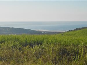 46 ha Farm in Mtwalume