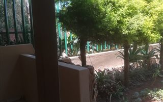 1 Bedroom Apartment in Wierda Park