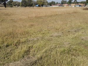 1983 m² Land available in Daggafontein