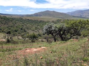 400 ha Farm in Lydenburg
