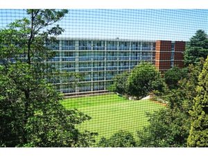 3 Bed Apartment in Hyde Park
