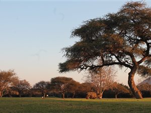 1304 m² Land available in Chroom Park