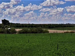 7 ha Farm in Straussburg