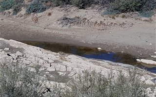 4 ha Farm in Ladismith