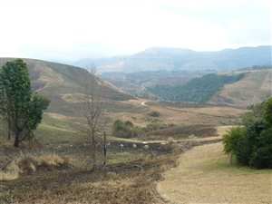 5 Bed House in Central Drakensberg