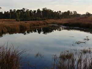 8.5 ha Farm in Cullinan