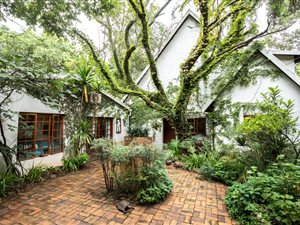 7 Bed House in Irene