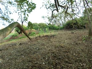 778 m² Land available in East Bank