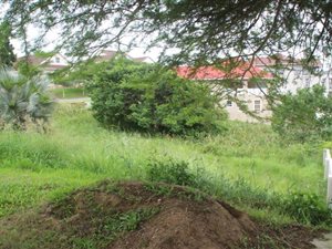 780 m² Land available in Shelly Beach