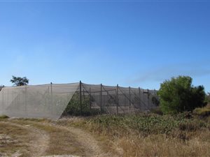 10.3 ha Smallholding in Yzerfontein