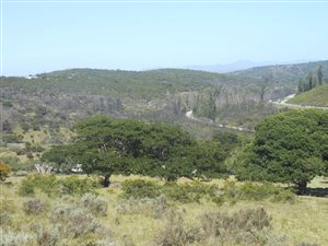 17.4 ha Farm in Thornhill