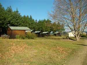 12.1 ha Smallholding in Bulwer