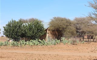 628 ha Land available in Boshof