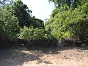 2128 m² Land available in Kampersrus AH