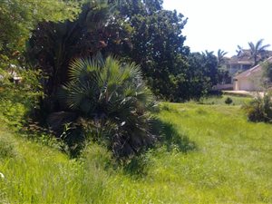 780 m² Land available in Shelly Beach