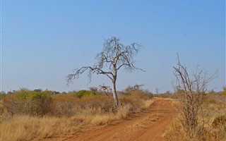 711 ha Farm in Mokopane