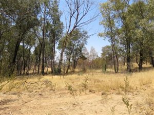 1.7 ha Land available in Eikenhof