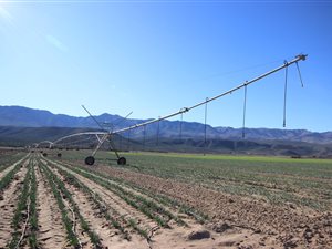 94 ha Farm in De Rust