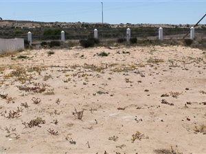 449 m² Land available in Blue Lagoon